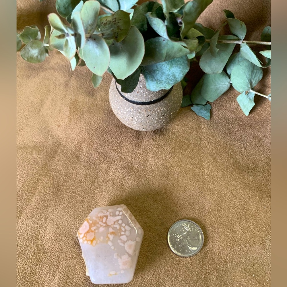 Flower Agate Coffin